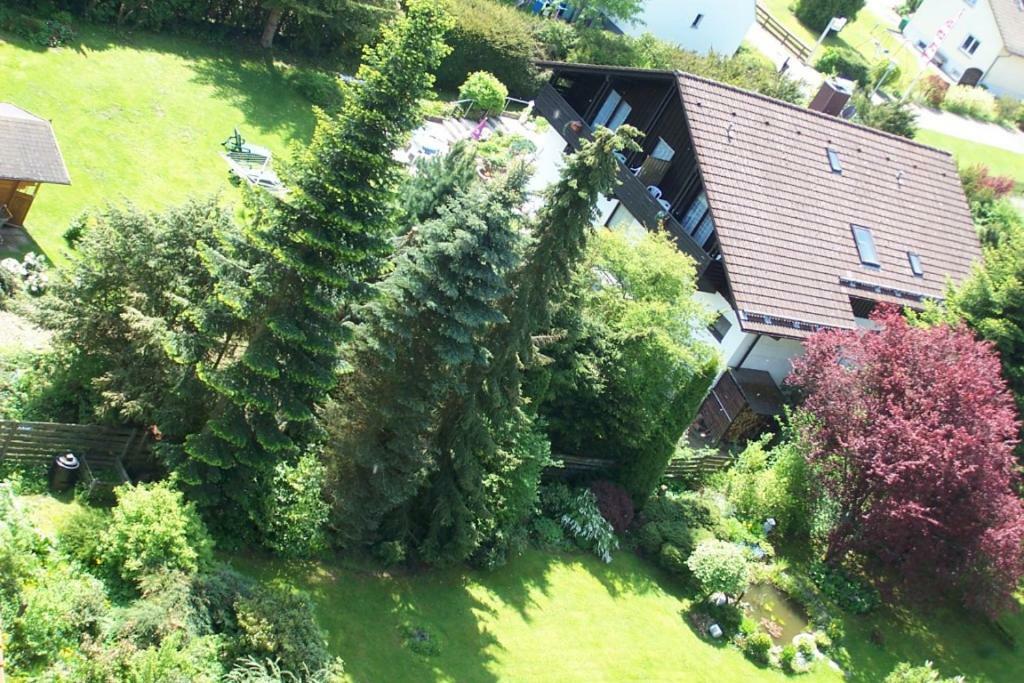 Hotel Gruenes Paradies- Garni Hochwaldhausen Exteriér fotografie